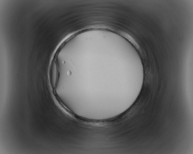 X0000083041084200703022043