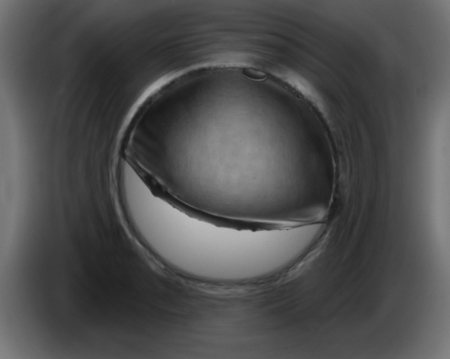 X0000083041085200703022043