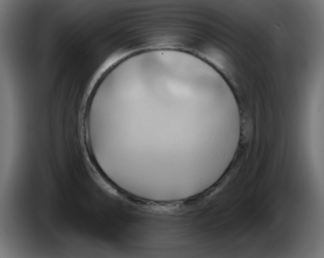 X0000083041086200703022043