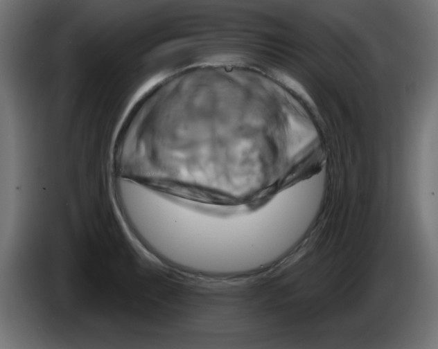X0000083041087200703022043