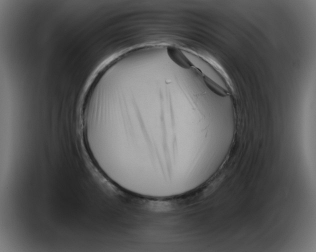 X0000083041088200703022043
