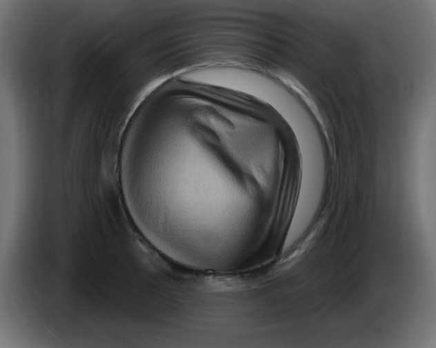 X0000083041089200703022043