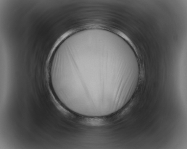 X0000083041090200703022043