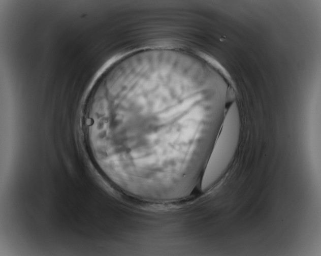 X0000083041091200703022043