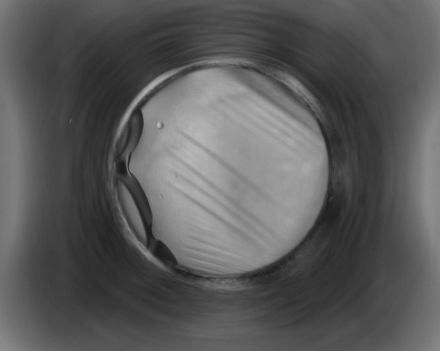 X0000083041092200703022043