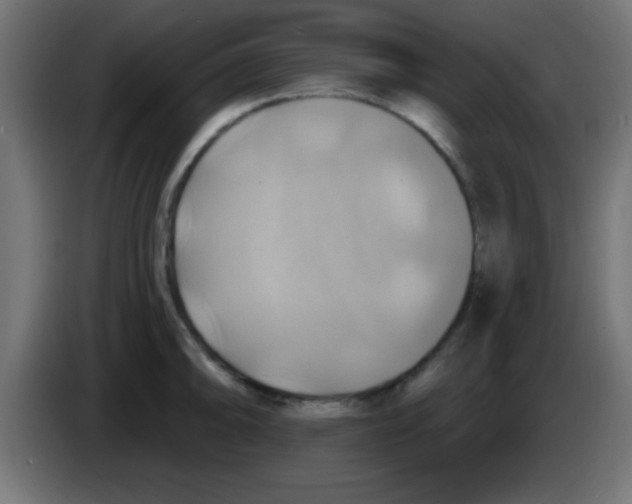 X0000083041094200703022043
