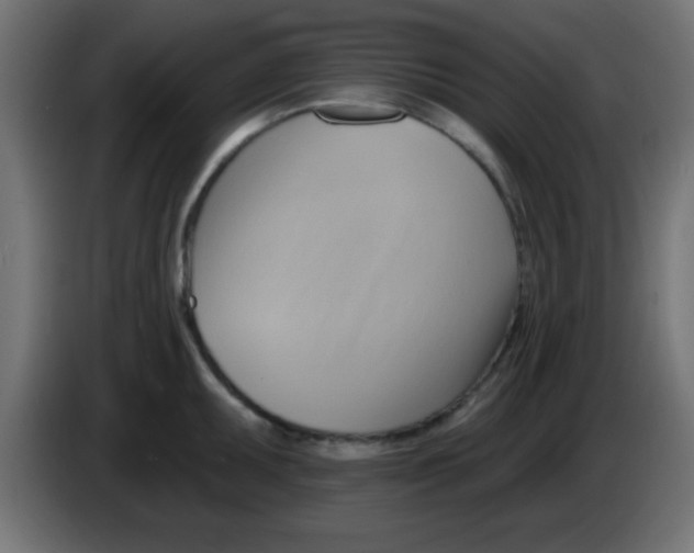 X0000083041095200703022043