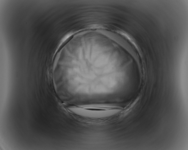 X0000083041097200703022043