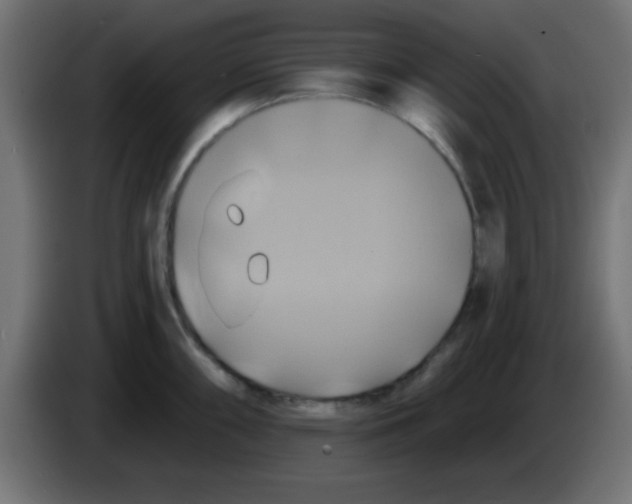 X0000083041098200703022043