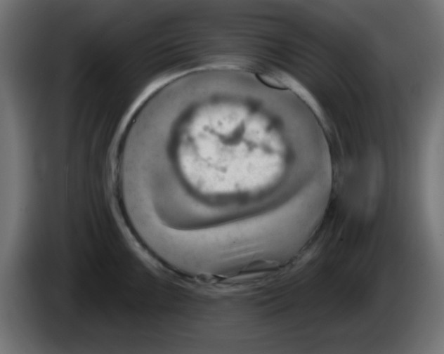 X0000083041099200703022043