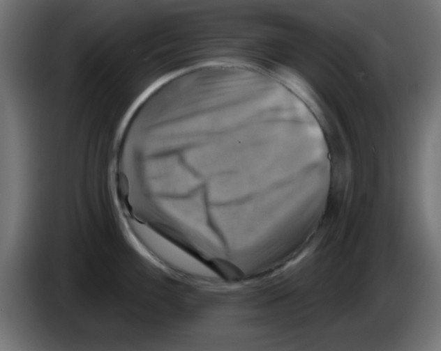 X0000083041100200703022043