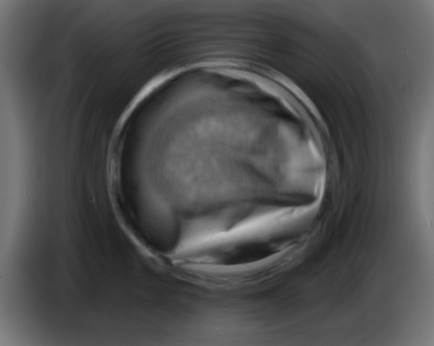 X0000083041101200703022043