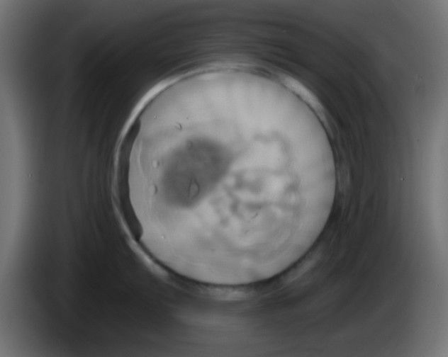 X0000083041103200703022043