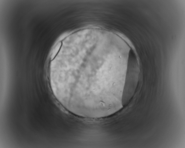 X0000083041104200703022043