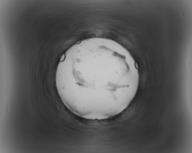 X0000083041105200703022042
