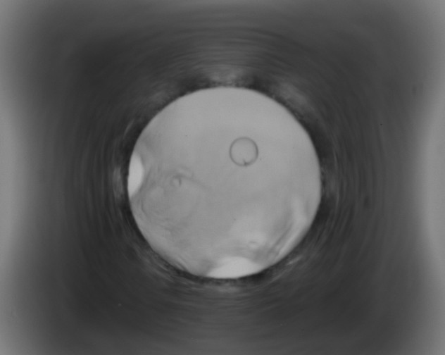 X0000083041106200703022042