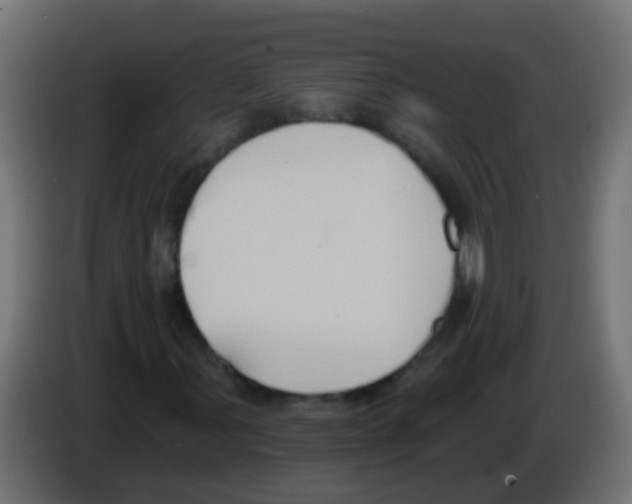 X0000083041107200703022042