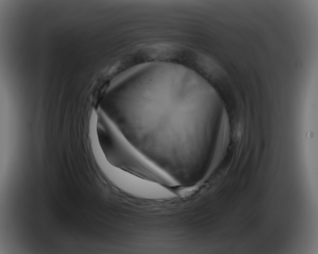 X0000083041108200703022042