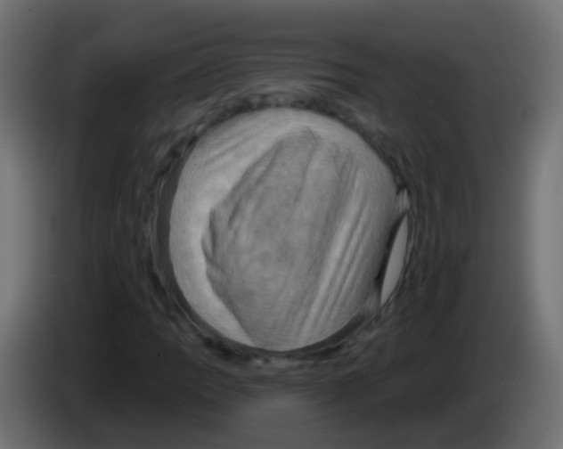 X0000083041109200703022042
