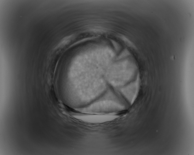 X0000083041110200703022042