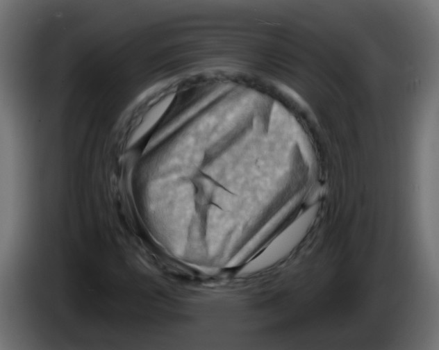 X0000083041112200703022042