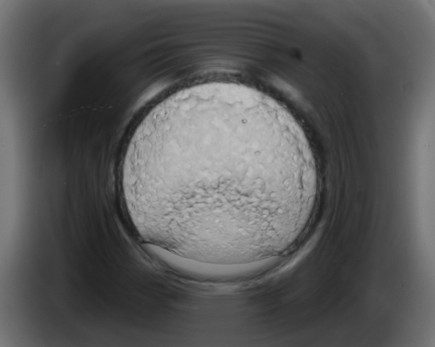 X0000083041113200703022042