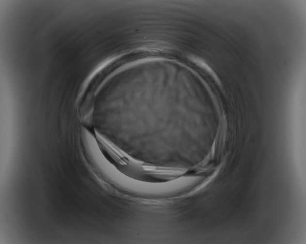 X0000083041114200703022042