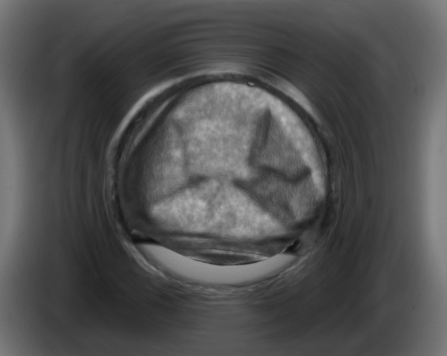 X0000083041116200703022042