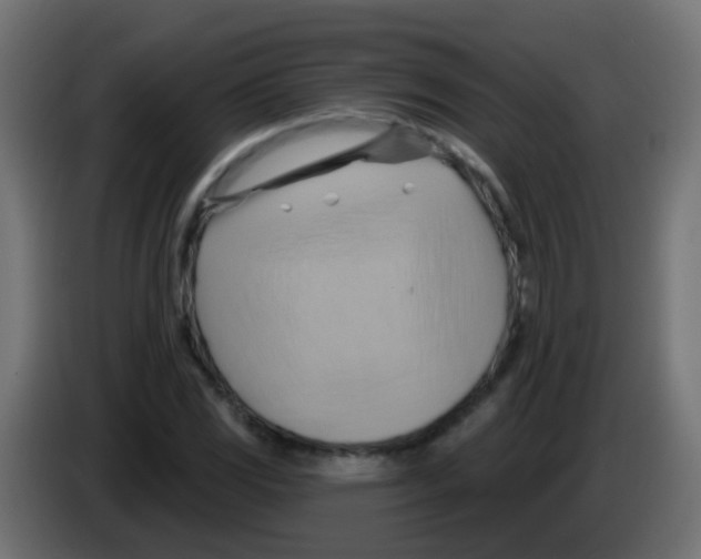X0000083041117200703022042