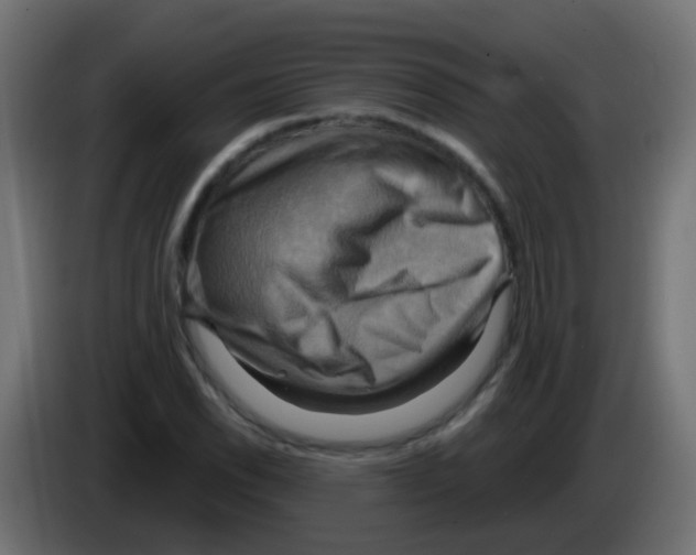 X0000083041118200703022042