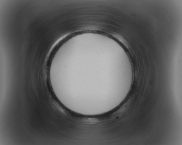X0000083041119200703022042