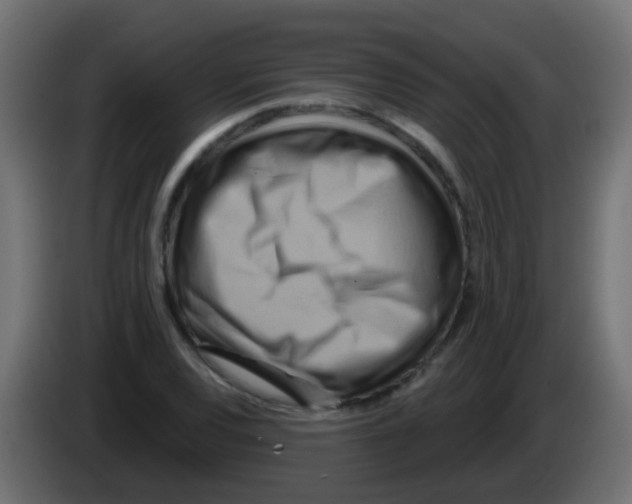 X0000083041120200703022042