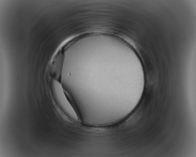 X0000083041123200703022043
