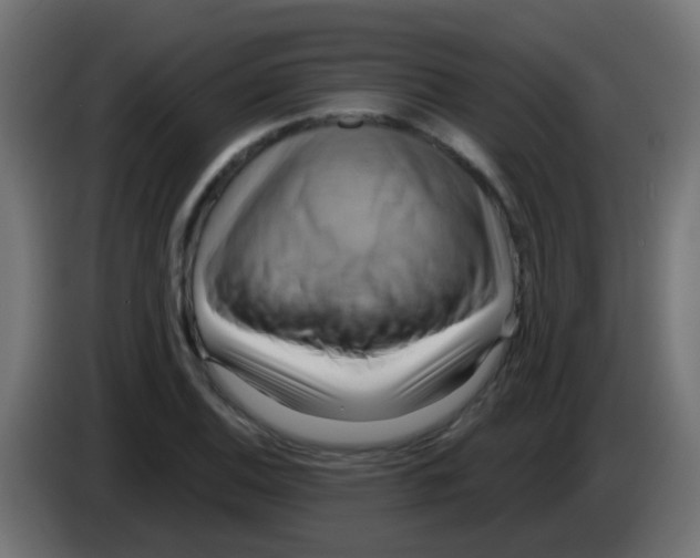 X0000083041124200703022043