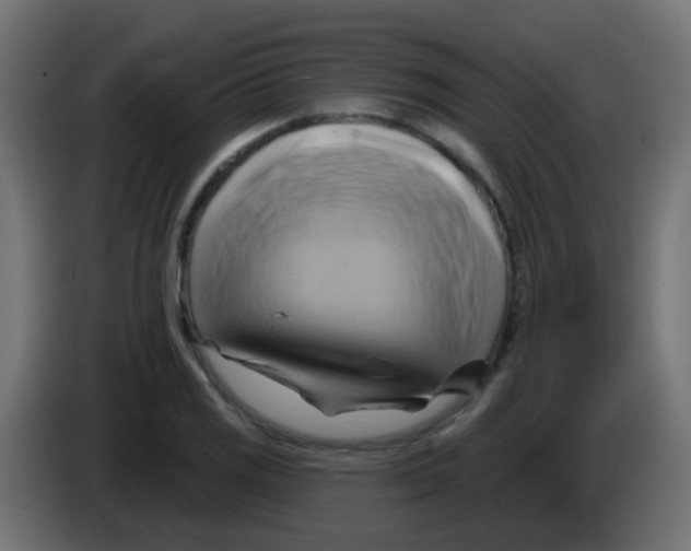 X0000083041125200703022043