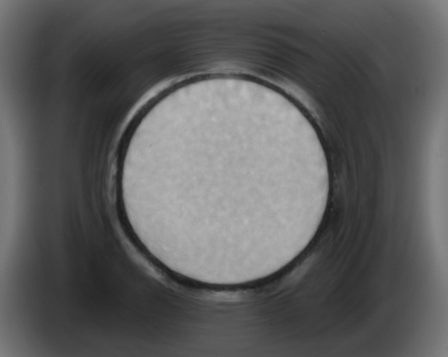 X0000083041126200703022043