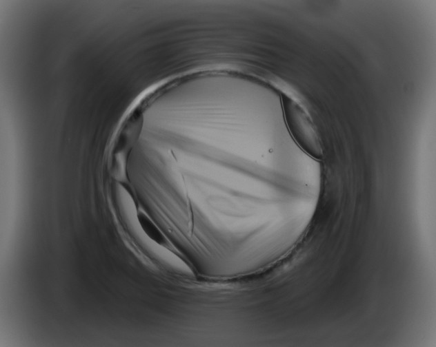 X0000083041127200703022043