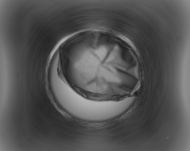 X0000083041128200703022043