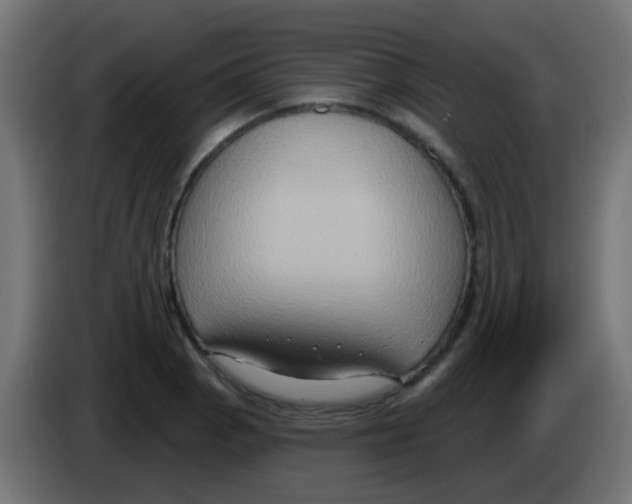 X0000083041129200703022043