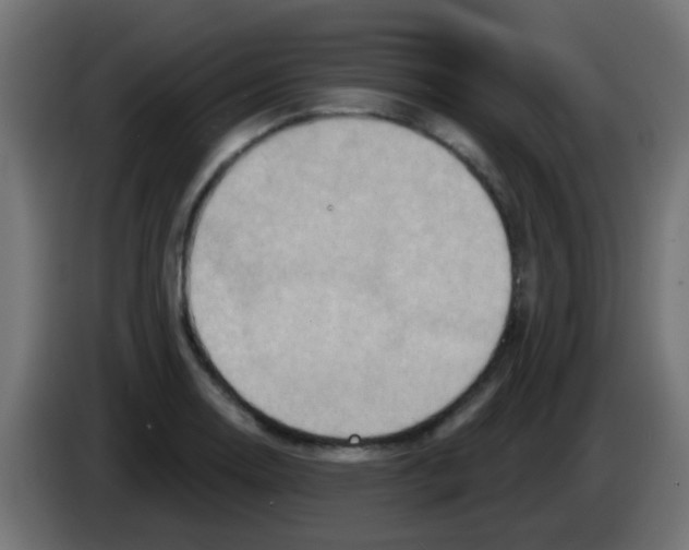 X0000083041130200703022043
