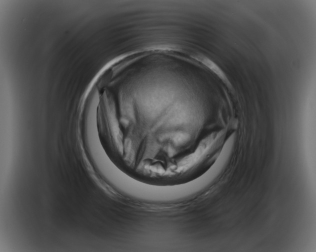 X0000083041132200703022043