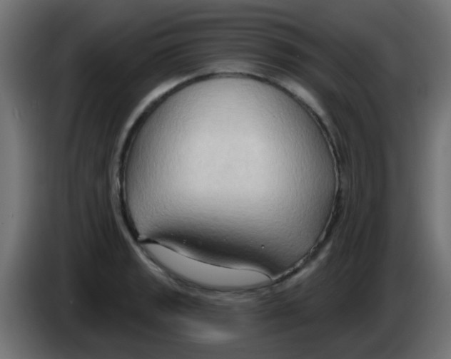 X0000083041133200703022043