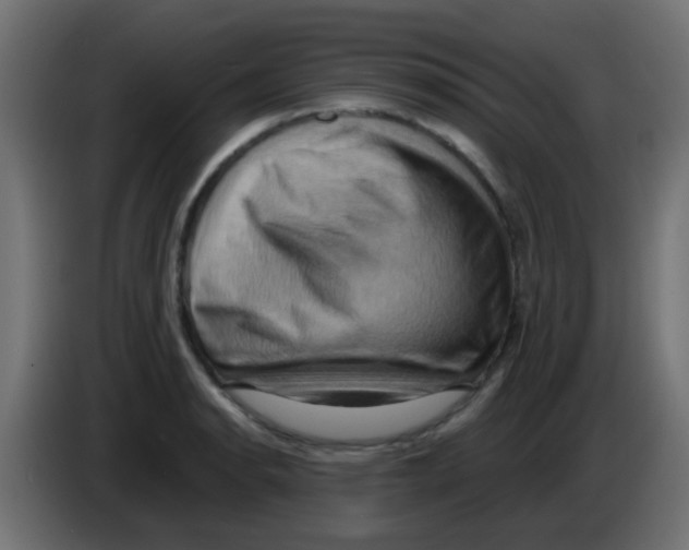 X0000083041134200703022043