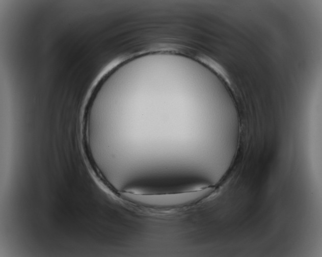 X0000083041135200703022043