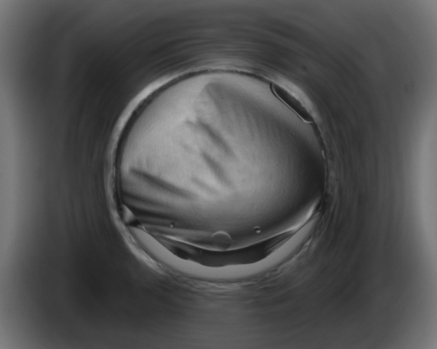 X0000083041136200703022043