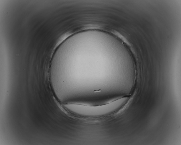 X0000083041137200703022043