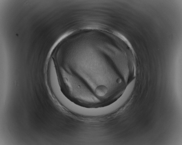 X0000083041138200703022043
