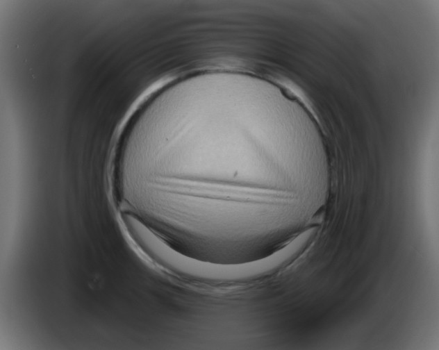 X0000083041139200703022043