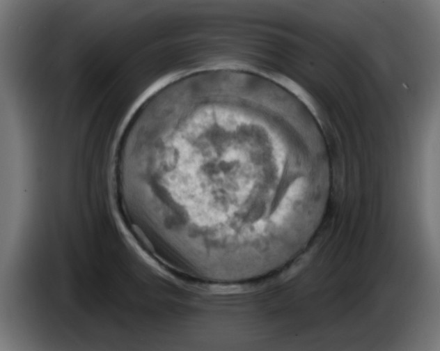 X0000083041142200703022043