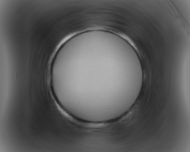 X0000083041143200703022043